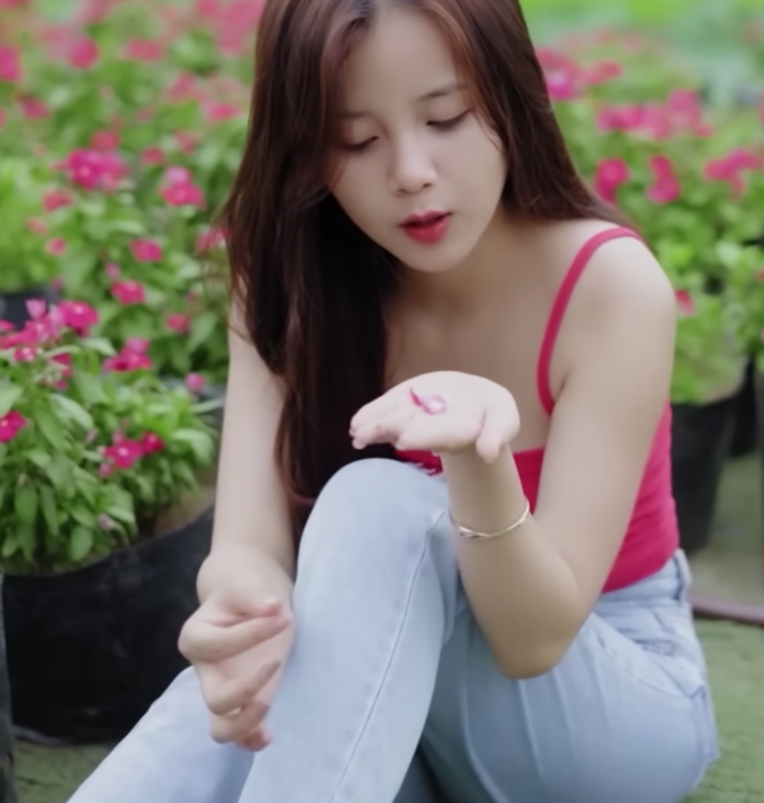 lĩnh vực hoạt động